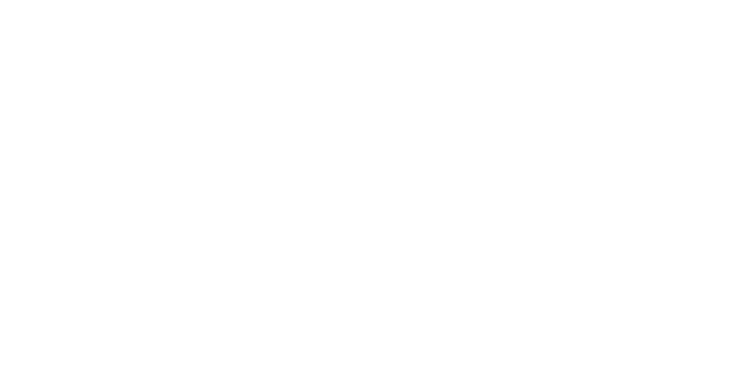 LEAD THE FUTURE BE A PIONEER.